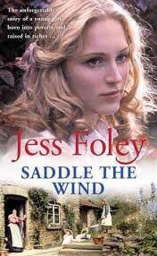 Saddle-The-Wind-by-Jess-Foley-