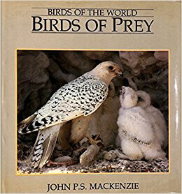 Birds-Of-Prey-by-John-PSMackenzie