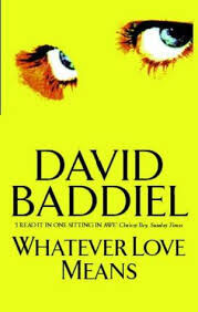 Whatever-Love-Means-by-David-Baddiel