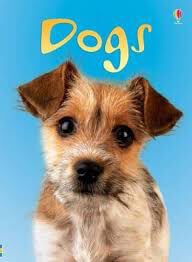 Dogs-Usborne-Beginners-by-Emma-Helbrough