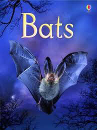 Bats-Usborne-Beginners-by-Megan-Cullis