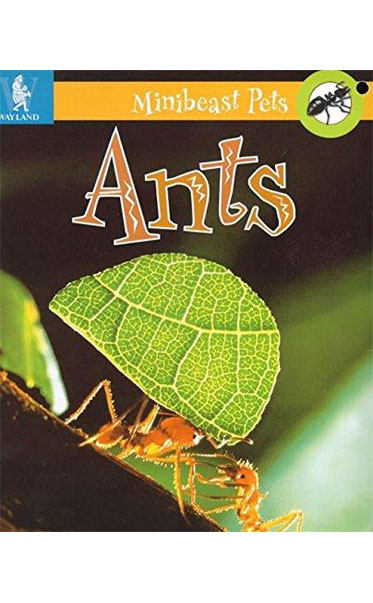 Ants-by-Theresa-Greenaway