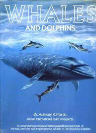 Whales--Dolphins-by-Anthony-R-Martin