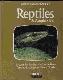 Wild-Wild-World-Of-Animals-Reptiles--Amphibians-by-Richard-Oulahan