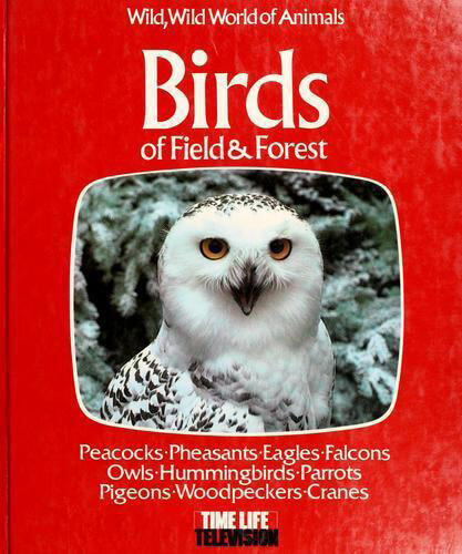 Wild-Wild-World-Of-Animals-Birds-Of-Field--Forest-by-Peter-Wood