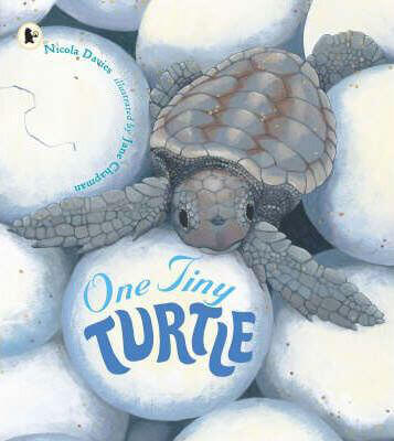 One-Tiny-Turtle-by-Nicola-Davies